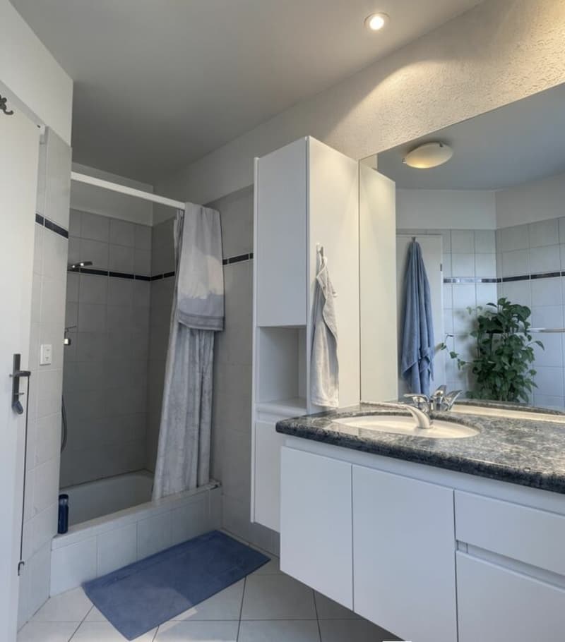 4.5-Zimmer Reiheneinfamilienhaus (4)