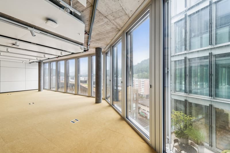 Empty room with beige carpet, concrete ceiling, glass walls, view of city and mountains, and a plant on the window sill