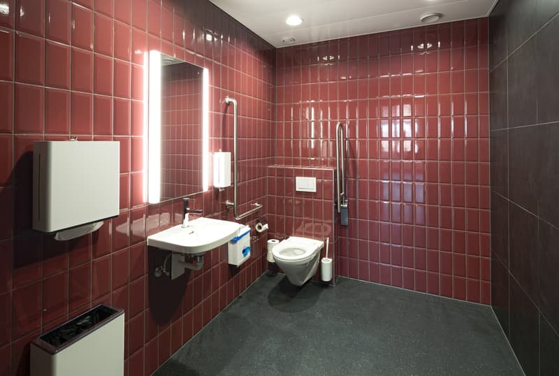 Bathroom with red tiles, white sink, mirror, toilet, and floor-mounted handrails
