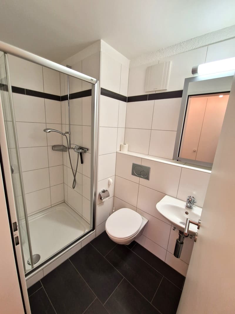 The image shows a modern bathroom with a glass shower enclosure, a toilet, a vanity with a sink, and tiled walls and floors in a neutral color scheme.