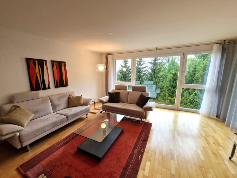 Attraktive 4.5-Zimmer-Wohnung mit Balkon und privatem Hobby-/Waschraum (5)