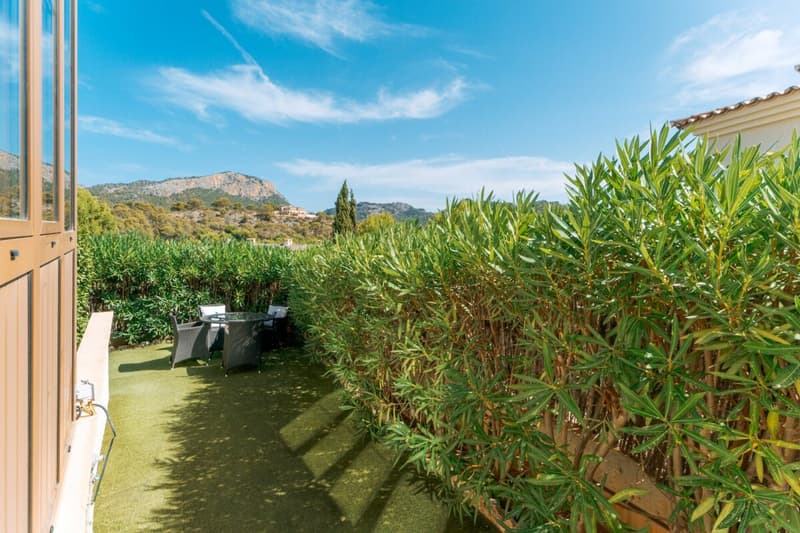 Perché sognare solo? Questa proprietà di Mallorca frutta (3)