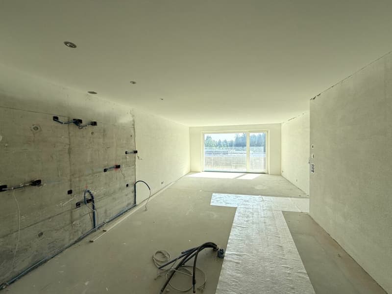 L'Arte di Vivere: Costruzione Personalizzata di Lusso (2)