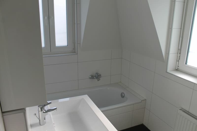 Solid construction, attractive rental potential, minimal effort (4)