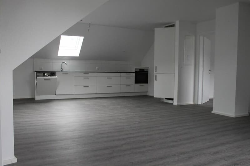Ganz oben, ganz neu, ganz dein modernes Dachnest in Herisau (2)