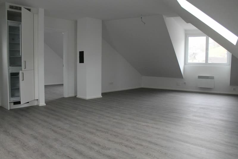Ganz oben, ganz neu, ganz dein modernes Dachnest in Herisau (5)