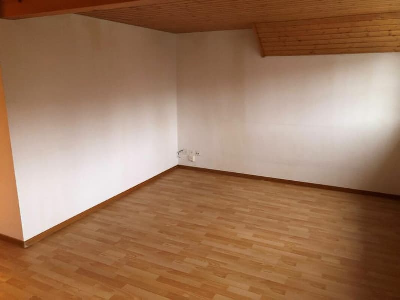 Wo Grosszügigkeit auf perfekte Lage trifft (5)