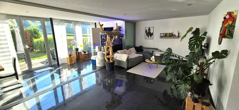 Appartamento giardino moderno con vasca idromassaggio e serra (3)
