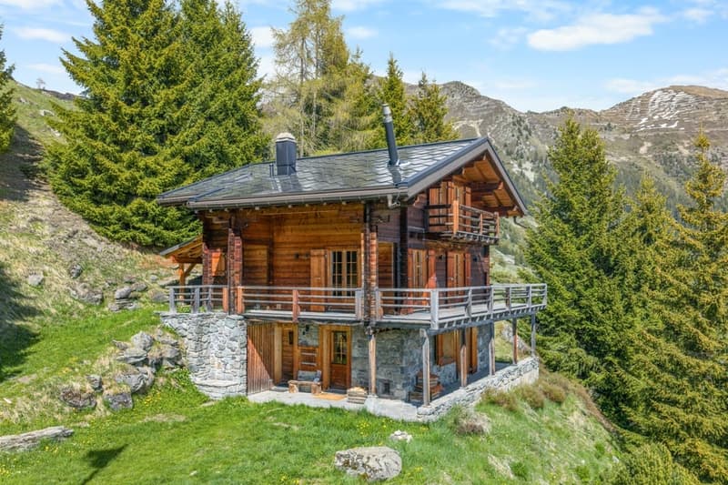 Charmant chalet 4 pièces au cœur de Verbier – Refuge alpin entièrement rénové (4)