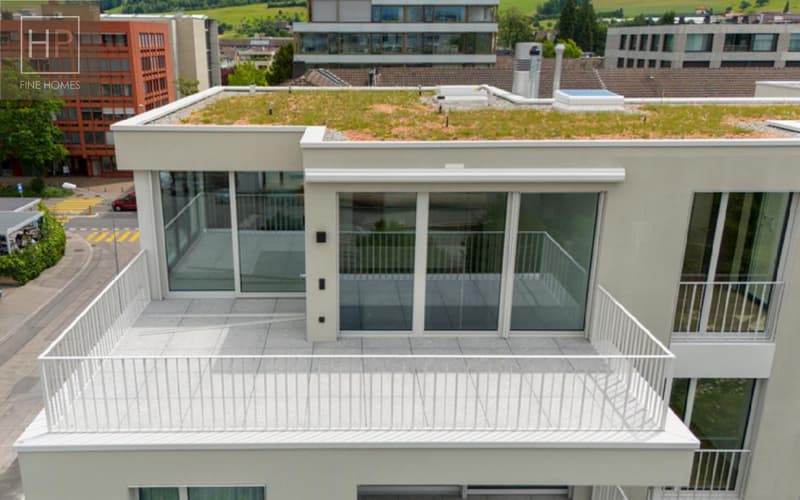 Luxuriöse 2-geschossige Attikawohnung mitten in Zug (1)