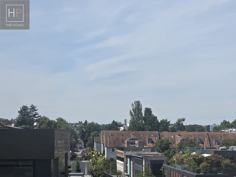 4.5 Zimmer Attika-Eigentumswohnung mit Hobbyraum und 2 Autoeinstellhallenplätze (8)