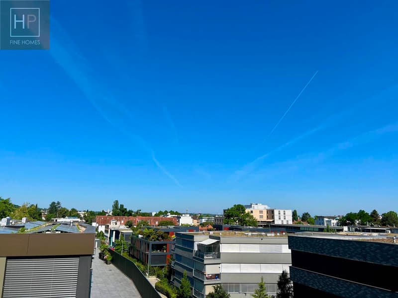 4.5 Zimmer Attika-Eigentumswohnung mit Hobbyraum und 2 Autoeinstellhallenplätze (6)