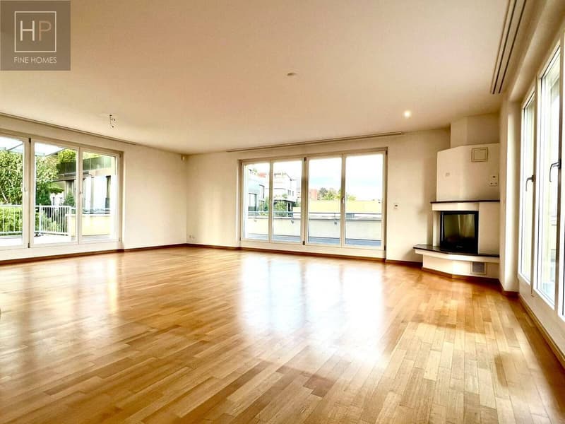 4.5 Zimmer Attika-Eigentumswohnung mit ausgebauten Raum und 2 AEHP (2)