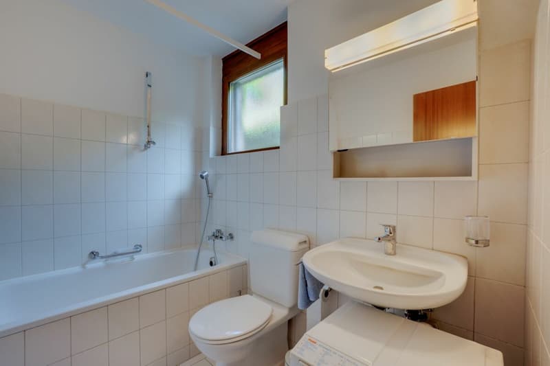 3 1/2 room apartment, Hubel 77 (5)