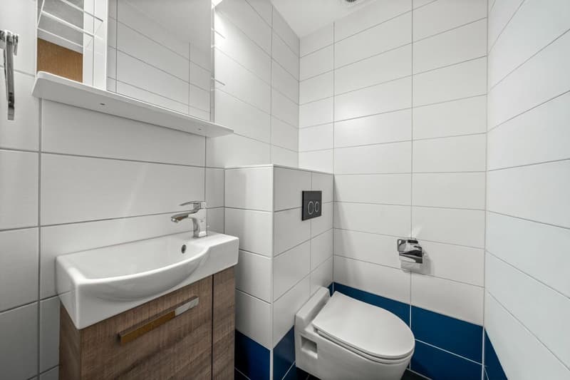 Eigenheim oder renditestarke Kapitalanlage: 4.5-Zimmer-Wohnung (6)
