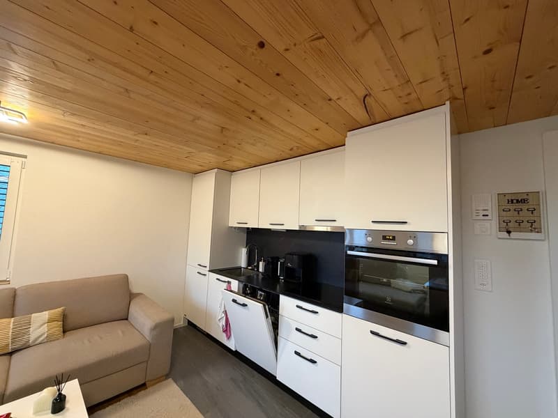 modern kitchen with open dishwasher and oven, wooden ceiling, couch with pillows, beige carpet, white walls