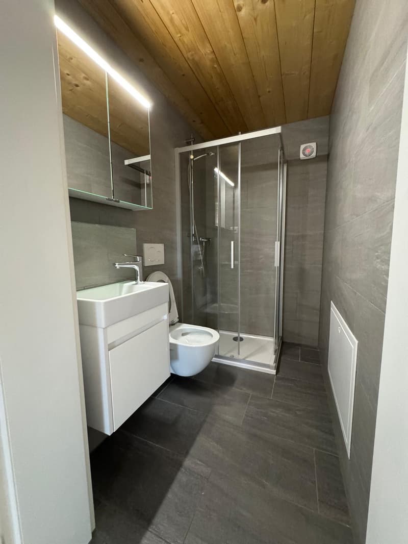Bathroom: white sink, silver faucet, white toilet, glass shower enclosure