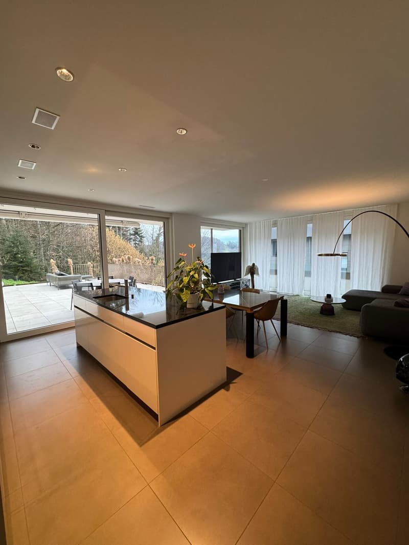 modern kitchen with central island, balcony with seating, large glass windows, dining table, green area with table, couch, television, large floor lamp