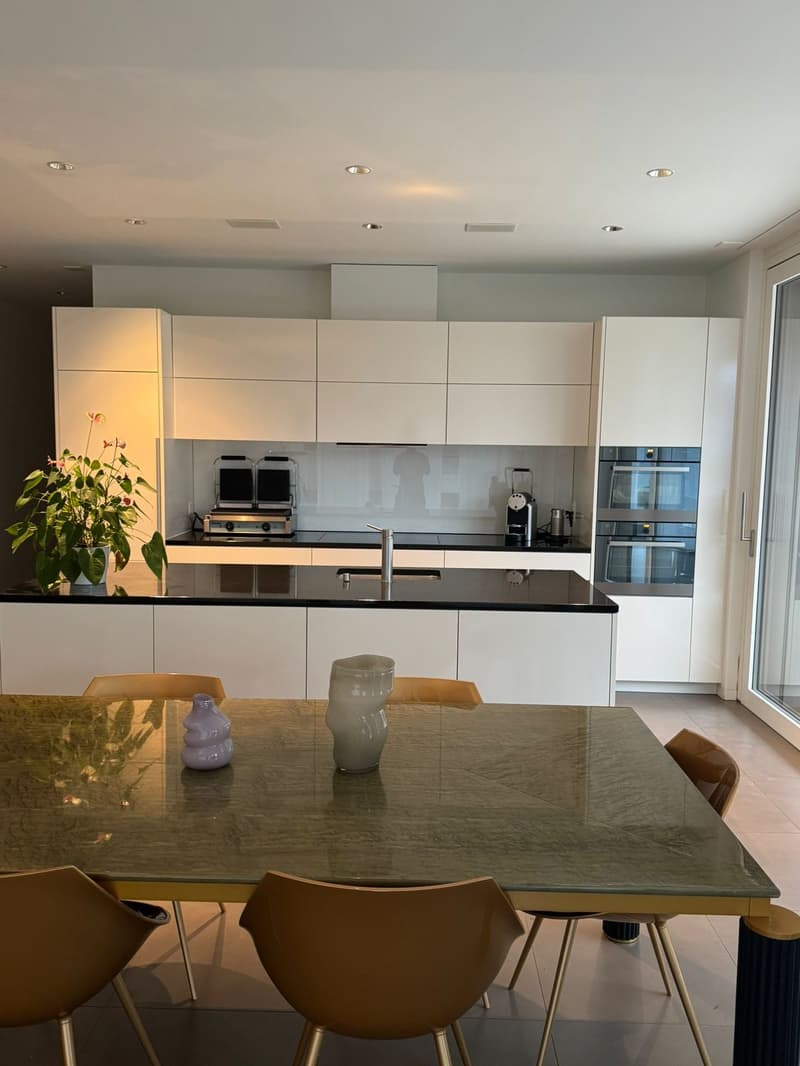 Modern kitchen with white cabinets, black countertops, integrated appliances, large dining table, and decorative elements.