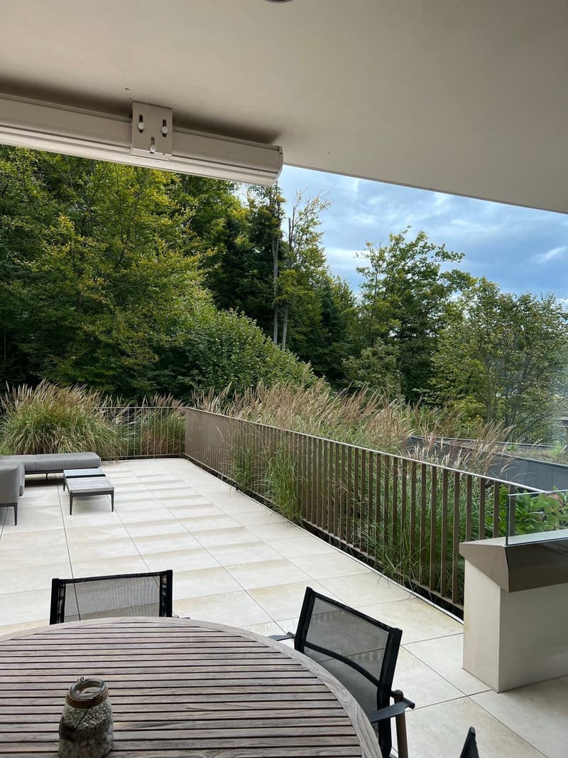 Exclusive 3.5-room terrace apartment with large sun terrace in Hergiswil (8)