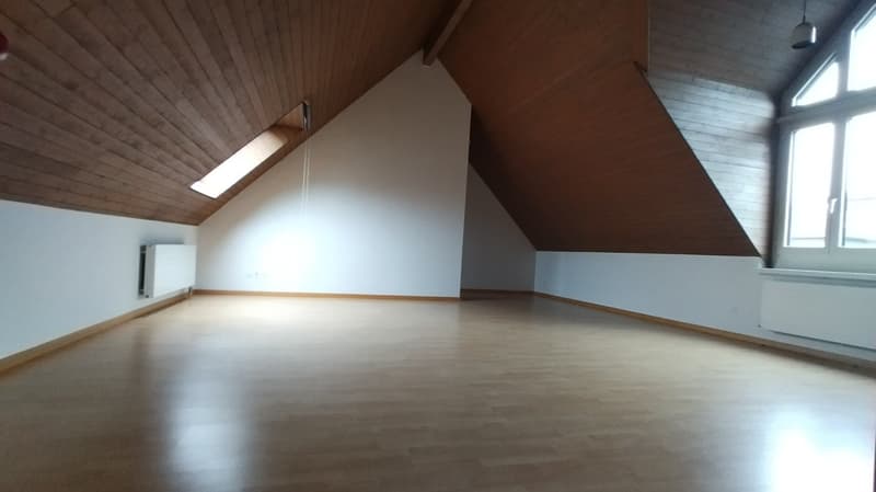 Charmant appartement 2 pièces en mansarde sur la Bahnhofstrasse à Olten (8)