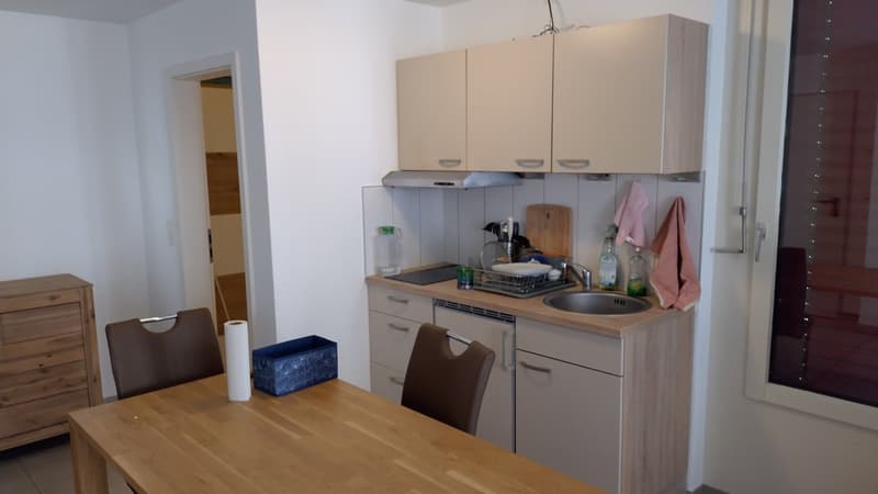 Charmant studio au cœur d'Olten – directement sur Bahnhofquai (2)