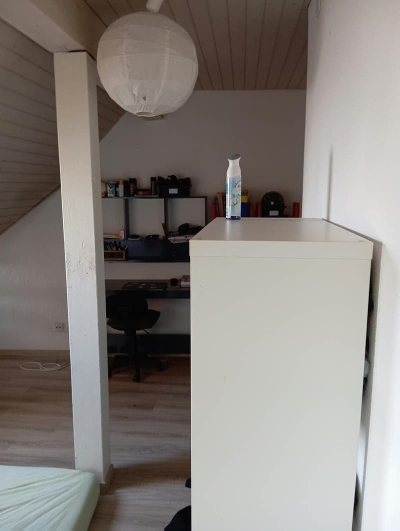 Charmante 5.5-Zimmer-Wohnung im Erdgeschoss in Kirchberg (4)