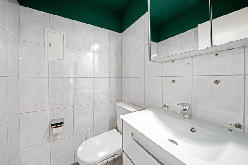 Appartement de 4,5 pièces rénové à prix abordable, à 10 minutes de Bâle (5)