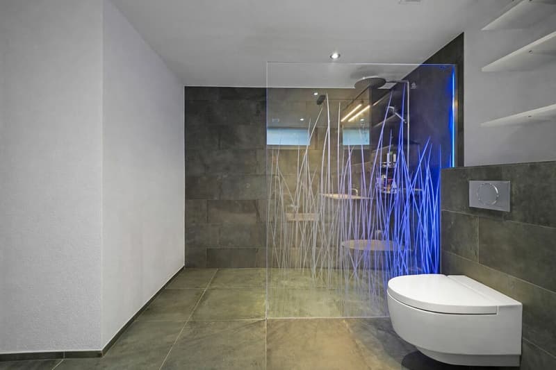 Appartement neuf, moderne 2.5 pièces PLUS condominium avec jardin (8)