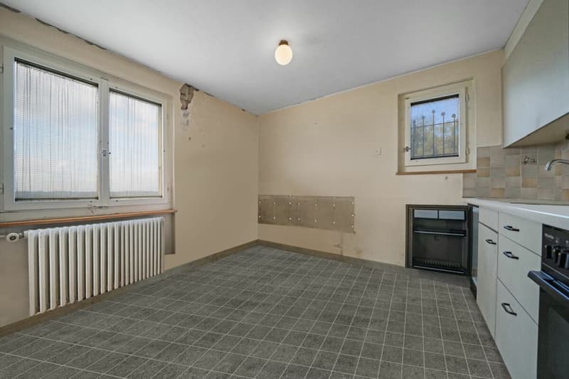 Projet pour visionnaires - maison unifamiliale avec vue panoramique (7)