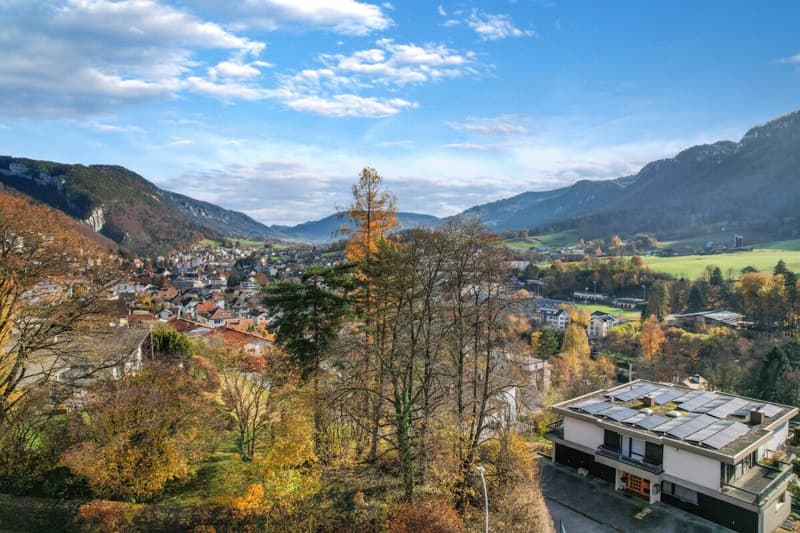 Duplex under the roof with private elevator - spacious, bright and full of potential (13)