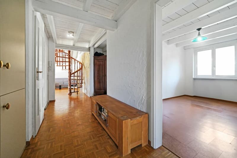 Duplex under the roof with private elevator - spacious, bright and full of potential (6)