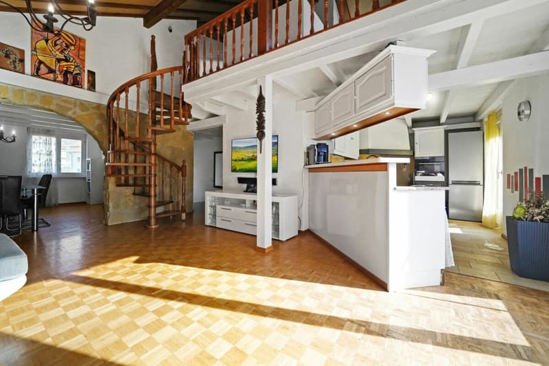 Duplex under the roof with private elevator - spacious, bright and full of potential (1)