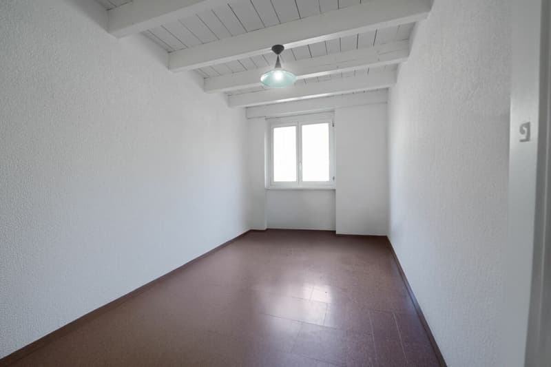 Duplex under the roof with private elevator - spacious, bright and full of potential (7)