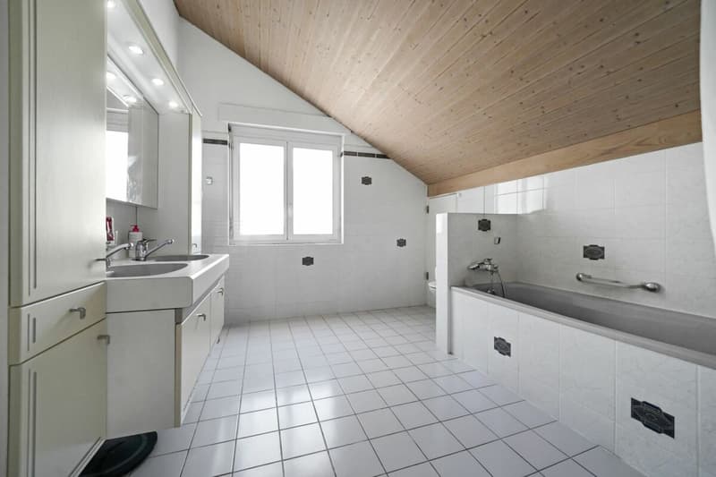 Duplex under the roof with private elevator - spacious, bright and full of potential (8)