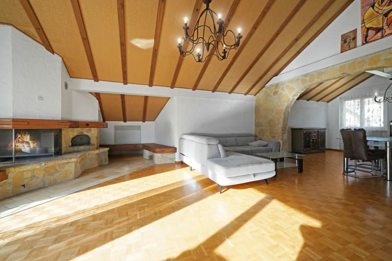 Duplex under the roof with private elevator - spacious, bright and full of potential (4)