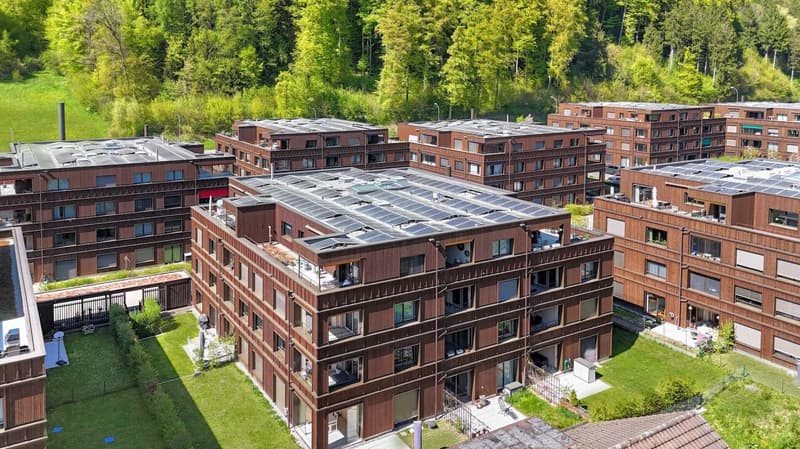 Modern, bright 3.5-room apartment in the new Fischermätteli quarter (15)