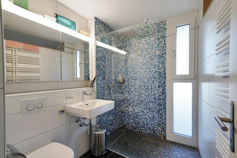 Sunny 5.5 room villa near the lake (12)