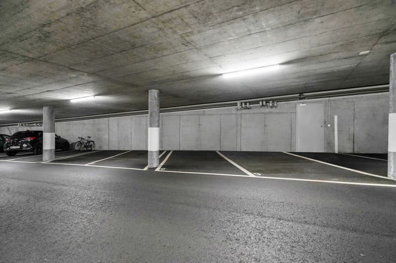 Appartamento al pianterreno di 4,5 locali, nuovo e luminoso, nel centro città (15)