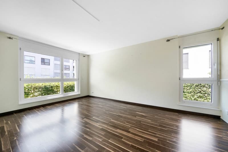 Appartamento al pianterreno di 4,5 locali, nuovo e luminoso, nel centro città (6)