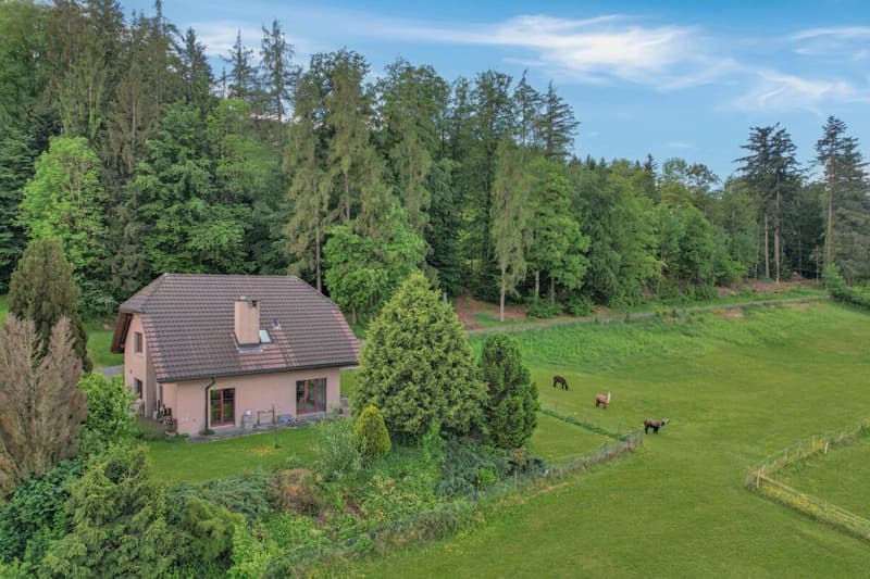 Wo Ruhe auf Weitblick trifft - ein Zuhause zum Wohlfühlen (1)