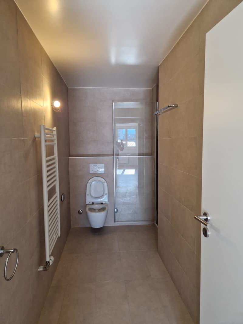 3-room apartment with a view, on the 7th floor in Servette (4)