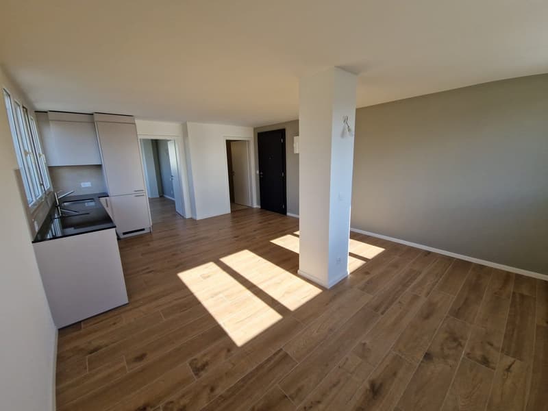 3-room apartment with a view, on the 7th floor in Servette (2)