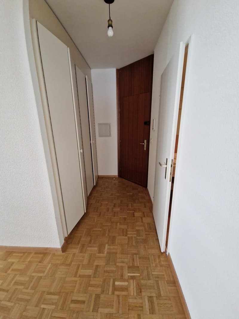 Beautiful 3-room apartment in the heart of the Eaux-vives neighborhood (12)