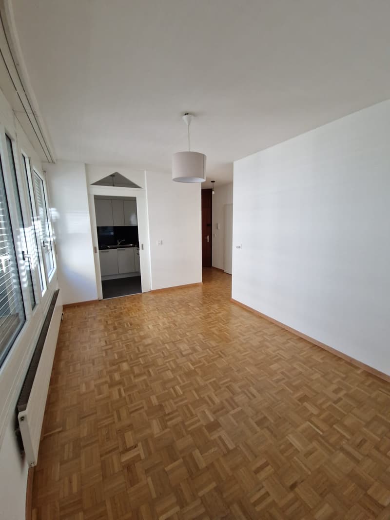 Beautiful 3-room apartment in the heart of the Eaux-vives neighborhood (3)