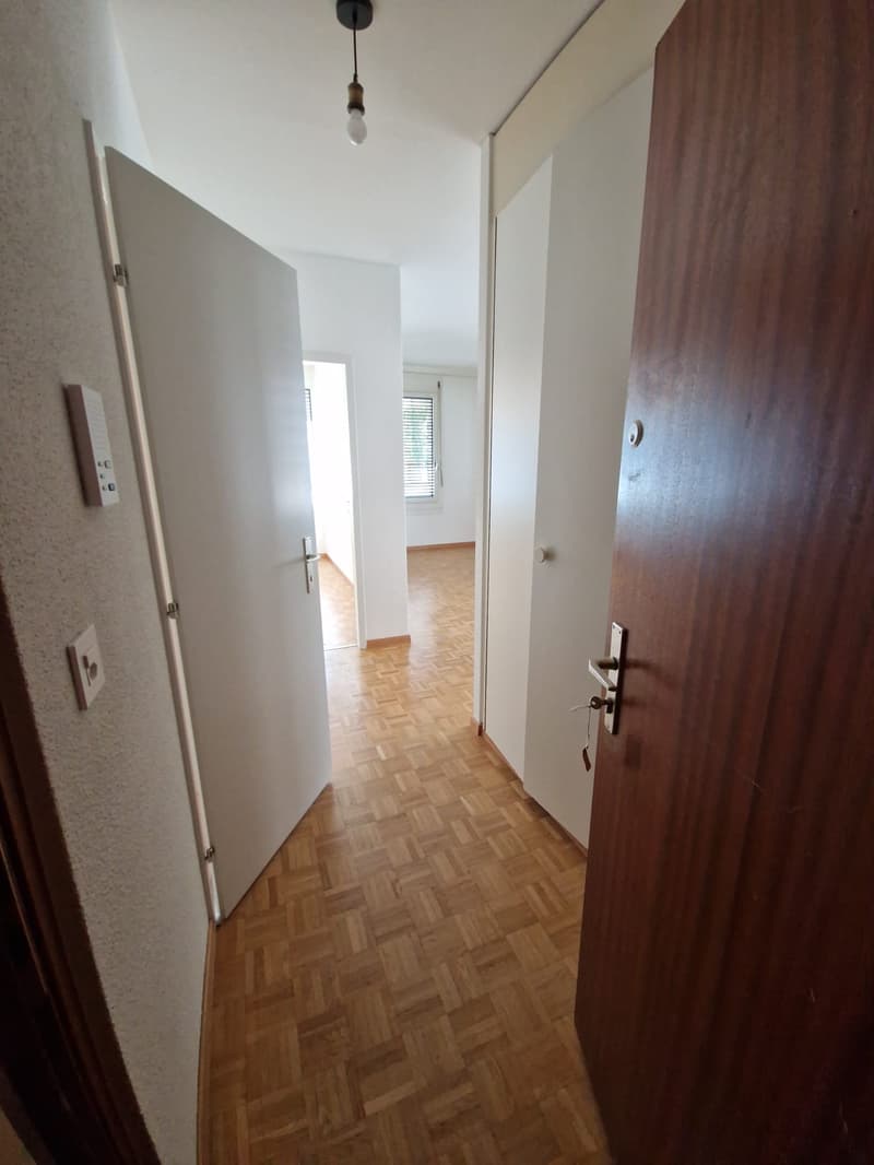 Beautiful 3-room apartment in the heart of the Eaux-vives neighborhood (1)