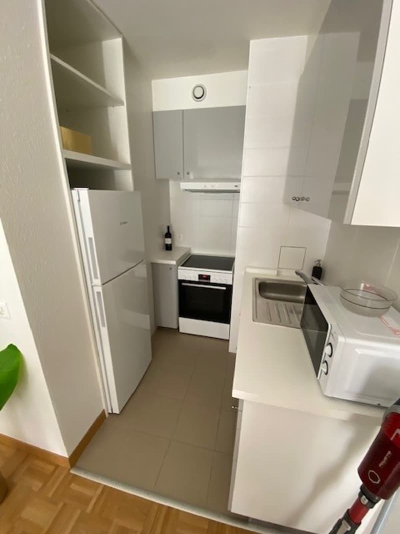 Charmant studio en plein coeur de Genève dans le quartier de la jonction / plainpalais (1)