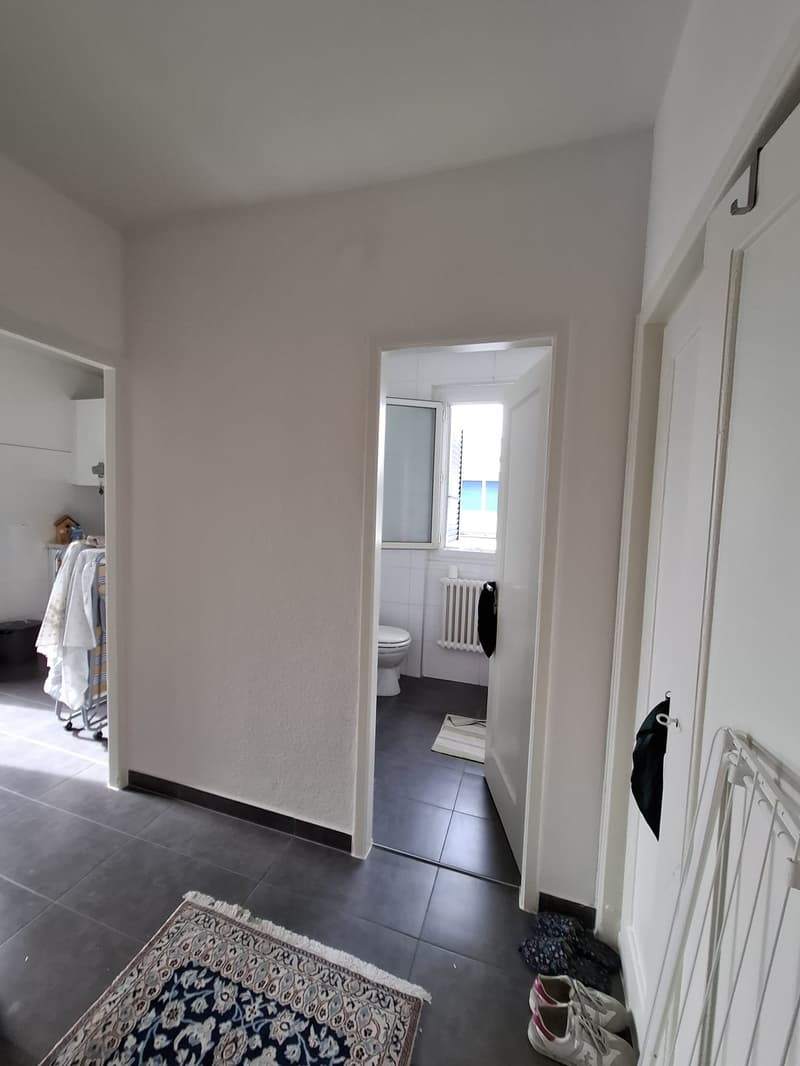 Charmant appartement de 2 pièces avec balcon au coeur des Eaux-vives en dernier étage (10)