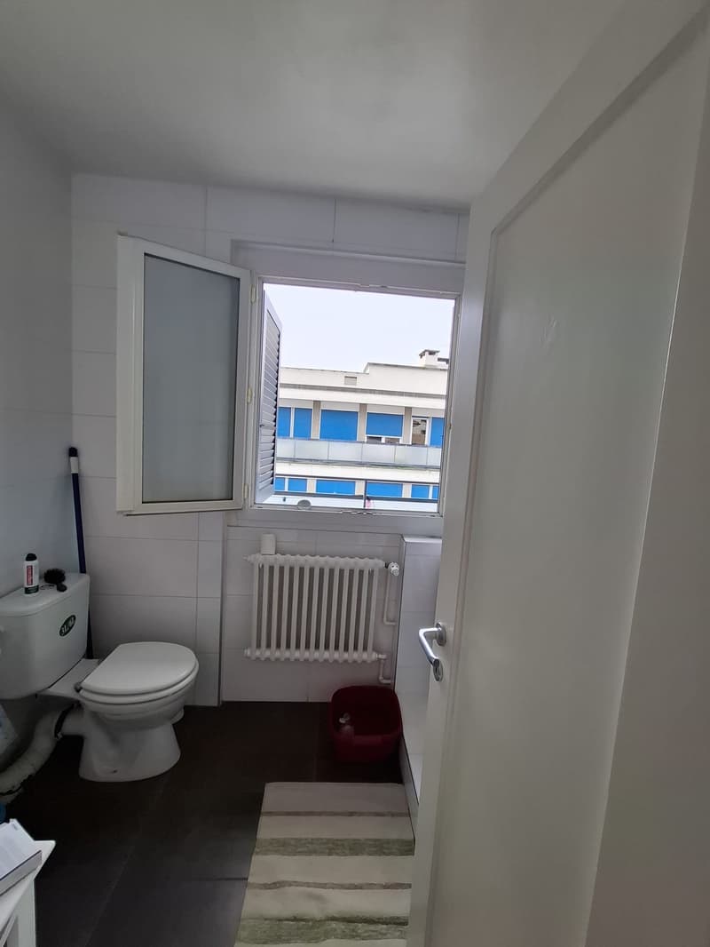 Charmant appartement de 2 pièces avec balcon au coeur des Eaux-vives en dernier étage (12)