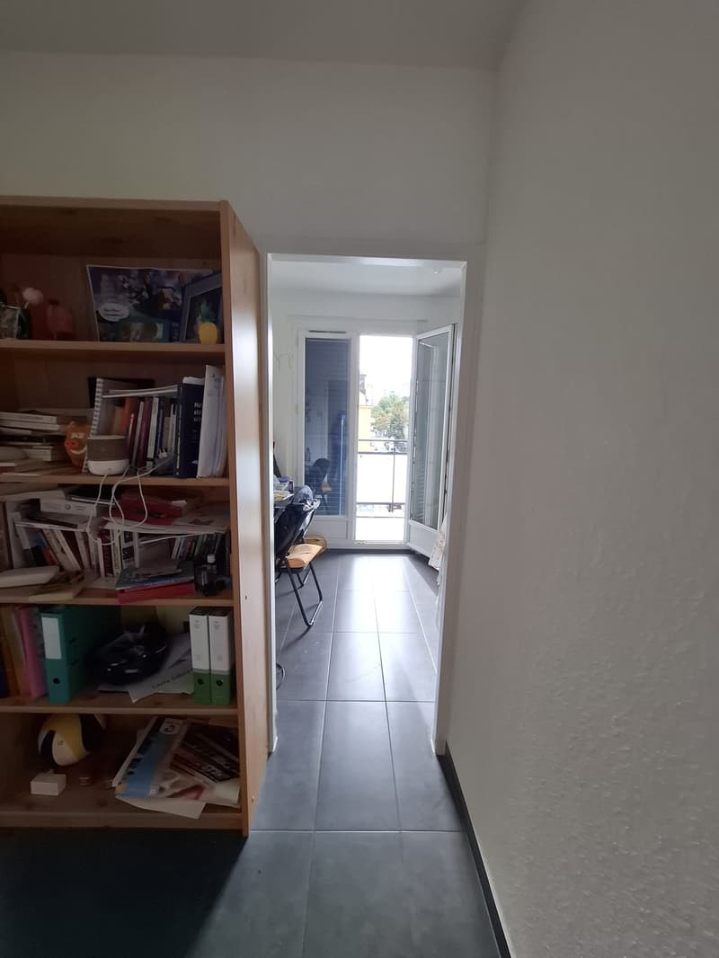 Charmant appartement de 2 pièces avec balcon au coeur des Eaux-vives en dernier étage (7)